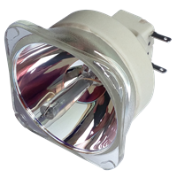 BENQ 5J.J8C05.001 Lamp without housing