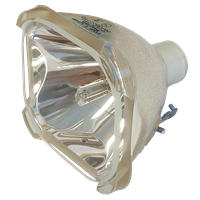 BOXLIGHT 3080 Lamp without housing