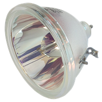 EIKI 610 265 8828 Lamp without housing