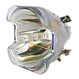 INFOCUS LP350 projector lamps