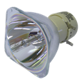 Generic lamp without housing NEC NP30LP (100013543)