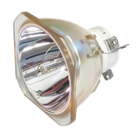 NEC PA522UG Lamp without housing