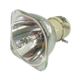 PHILIPS-UHP 190/160W 0.8 E20.9 bulb