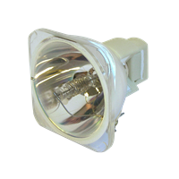 SANYO PDG-DSU21N Lamp without housing