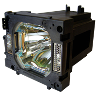 SANYO PLC-XP100L Lamp with housing